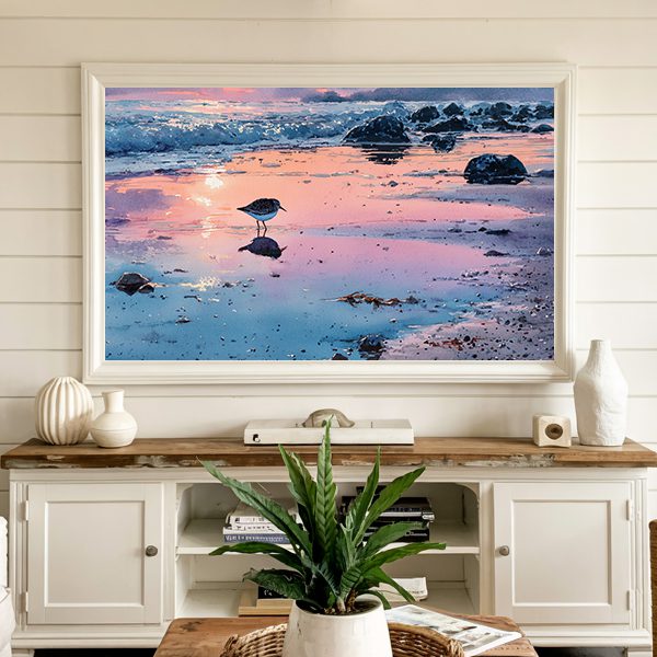 coastal sandpiper at sunrise