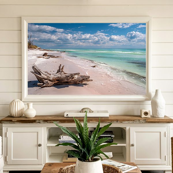 Coastal driftwood landscape