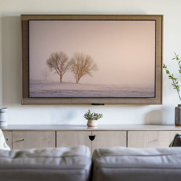 Soft Morning Frost tv art