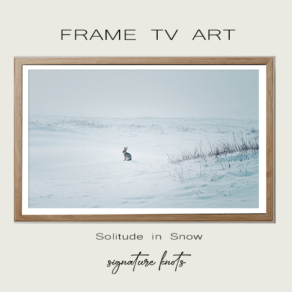 Solitude in Snow Digital Art