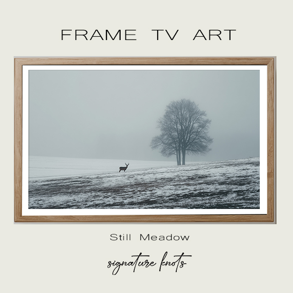Still Meadow digital tv art
